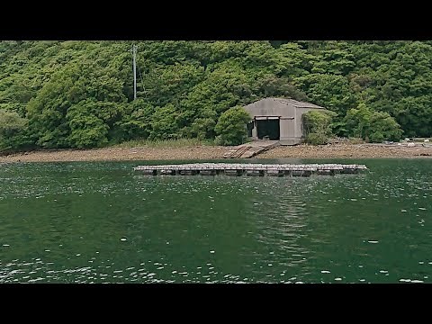 【鳴門市・ウチノ海】格安の徳永渡船・五目かかり釣り‼️