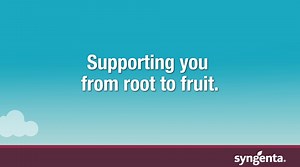 Keeping almond trees happy and healthy from year to year is no small feat, but with the right disease management plan in place, your groves can grow strong and yield strong every season. A Syngenta program approach will protect your trees from dormancy to harvest. Learn more about how you can protect your trees and your profit potential: https://bit.ly/48AH6XE | Syngenta US | Facebook