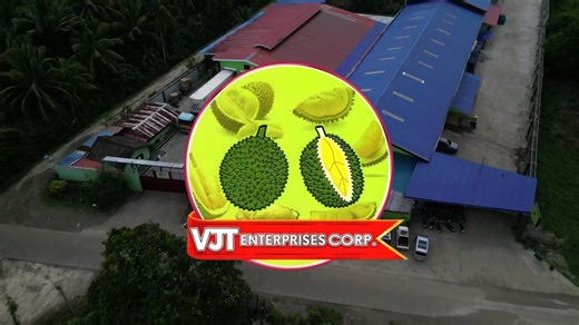 Davao City Durian to International Market Special Thanks to VJT Enterprises Corp. Davao’s world-famous durian, known for its rich flavor and creamy texture, has proudly made its way to the international market—bringing a taste of the King of Fruits from the heart of Mindanao to the world. This milestone was made possible through the dedication of local farmers and the invaluable support of VJT Enterprise Corp., whose commitment to quality, innovation, and global standards has opened doors for Da