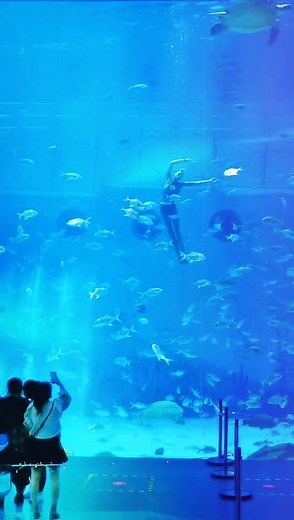 Подводная балетная программа в аквариуме Шанхая