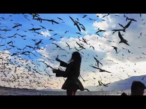 [FREE LOOP KIT] "Ecstasy" [Sample + Beautiful + Cloud Rap + Ambient] | 2026