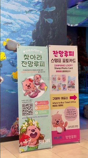 [The-K 크리에이터] 더워지는 날씨, 교직원공제회 30% 할인받고 씨라이프 코엑스 아쿠아리움 야무지게 즐기는 꿀팁!