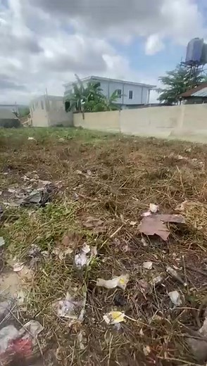 *SALE ALERT* Description: Half plot of Land in a well secured interlock street @ *Anipole Street Sholuyi Gbagada* Title CofO Price: *~110M~ Now 100M Net*. Contact TM Realty Homes and Essentials on 08160178525 | Princess Adeyemi Yisa