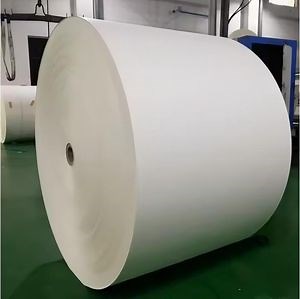 [Hot Item] Eco-Friendly PE Coated Cupstock for Food Service