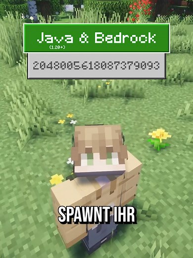 Perfekter Minecraft Seed 2048005618087379093