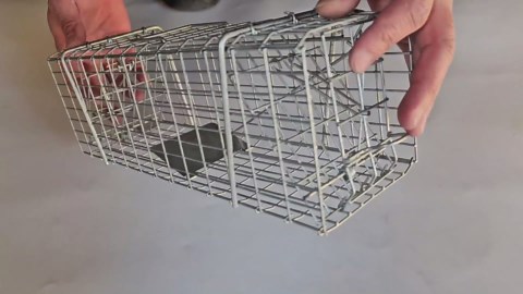 Squirrel Trap Heavy Duty Humane Live Animal Cage Trap Chipmunk Trap Rat Trap and Other Similar Other Live Animal Cage Catch and Release