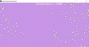 Particle Simulations