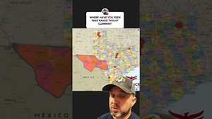 Elk in Texas Facts You Need to Know