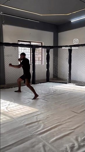 MMA for Beginners: The Ultimate Guide to Getting Started #mmabasic #mmabloge