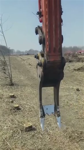 tree root removal with heavy equipment 🌳 | powerful land clearing process