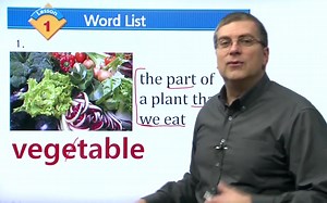 {400 集 美国中小学自然科学和社会科学全集】《Brian Stuart 老师的英语教学词汇课》