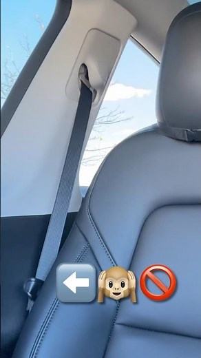 Tesla Seat Belt Rattle-EZ FIX! #tesla #seat #belt #seatbelt #knock #bang #rattle #model3 #modely