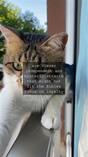 Why the Cat Is Missing from the Bible Have you ever wondered why the cat isnt mentioned...