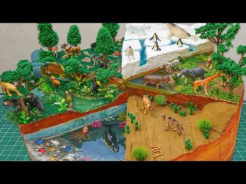 Biodiversity model for science exhibition