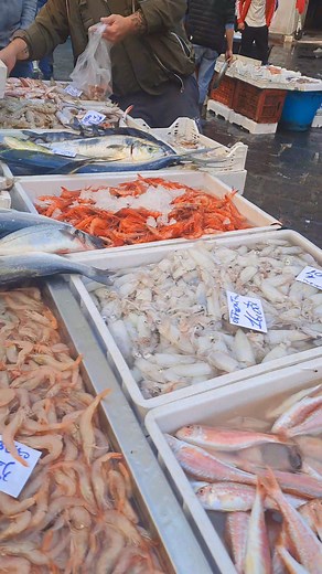 Prenota al 340 60 94 386 da Lorenzo #motopescagiacomopadre #motopescamarialucia #catania | Motopesca Marialucia