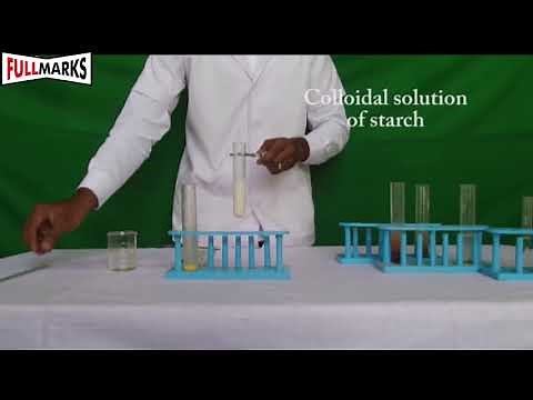 Lab Manual Science CBSE Class 9 Experiment No. 1 (Solution, Colloids, Suspension)