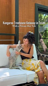 1.2M views · 15K reactions | Kangaroo Treehouse Stay in Texas We got...