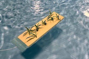 Piscinotron : cette invention innovante permet de convertir une piscine classique en bassin naturel