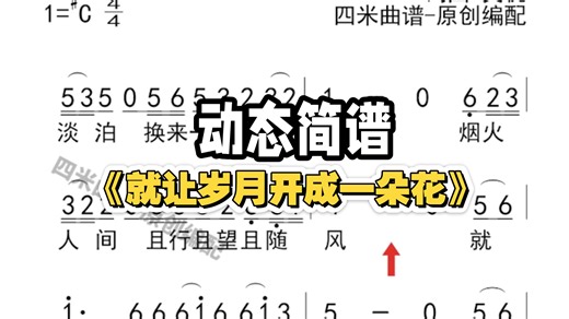 阿云朵《就让岁月开成一朵花》动态简谱