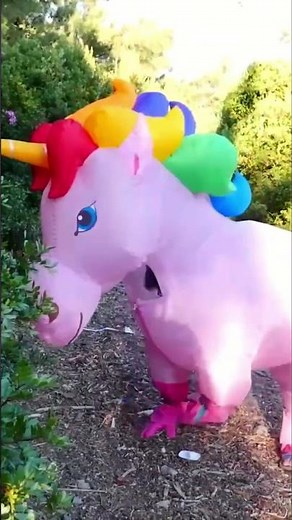 Einhorn Wahnsinn im Wald 🦄🌳 #kindervideo #spielen #lustig