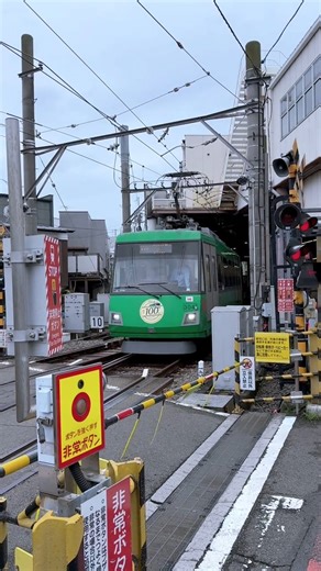 #tram #tokyo #tokyojapan #tokyolife #japan #japanese #japantravel #travel #dailyvlog #trainjapan | Everyday Japan 日本