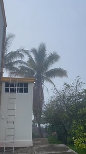 Martin Garcia on Reels