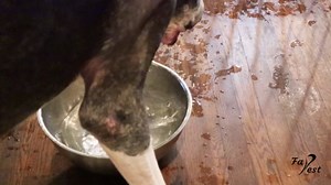 2 Pack Stone Bath Mat, Diatomaceous Earth Fast-Drying & Super Absorbent Diatomite Mats for Bathroom,Grey,23.62*15.35in - Walmart.com