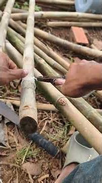 Building a DIY floating raft from bamboo and plastic jugs. #countrysidevlog #survival