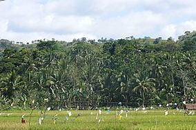 Rajah Sikatuna Protected Landscape - Alchetron, the free social encyclopedia