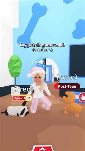 My Pets: Real Life vs. Roblox Comparison