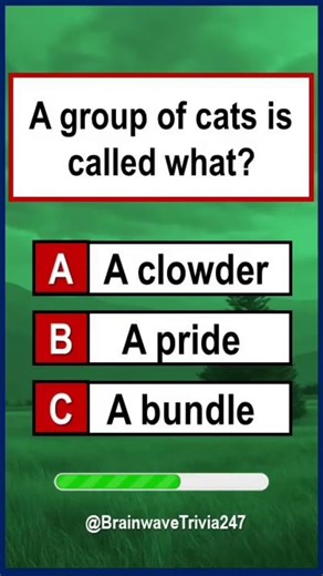 General Knowledge Quiz: #shorts #shortsfeed #quiz #gk