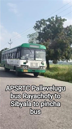 APSRTC Pallevelugu bus Rayachoty to Sibyala to pincha bus #shorts #short #subscribe #viral #bus