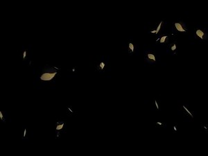 Leaf Particles Matte Effects Overlay & motion graphic free download 4K #2 Help Me by Subscribe