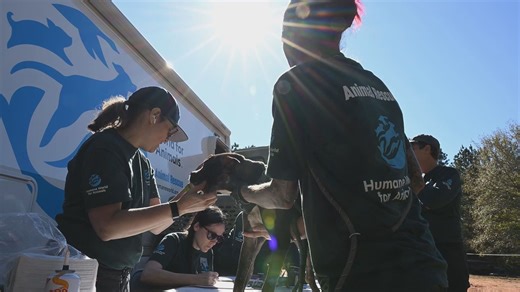 4 people accused of animal fighting after 47 dogs rescued in Lancaster, Chester counties