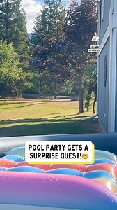 A surprise pool party guest... 😯🏊 | Dad Jokes