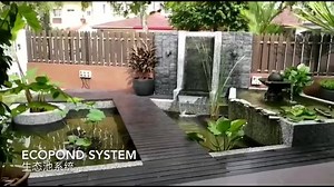 18K views · 91 reactions | Reviewing a 10 month old pond, water still crystal clear and odorless. 检验着一个用了10个左右的鱼池，池水仍水晶般的清澈无异味。 Ecological water purification system Filterless, Crystal Clear, Odourless, Hassle Free (Warranty one year) 生态池系统 新技术 ：免过滤器，免换水 (保证一年） www.ecopondsystem.com.my | Ecopond System | Facebook