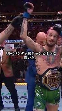 【UFC】ショーン・オマリーとは #ufc #shorts