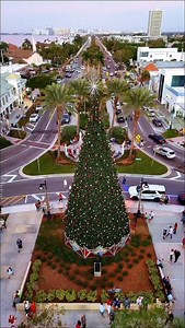 St. Armand’s Circle Sarasota Fl and the Spectacular 60 foot high and over 80 Thousand Light 💡 Christmas Tree 🎄. #starmandscircle #sarasotaflorida #starmandscirclechristmastree #christmastree | Damian Drone