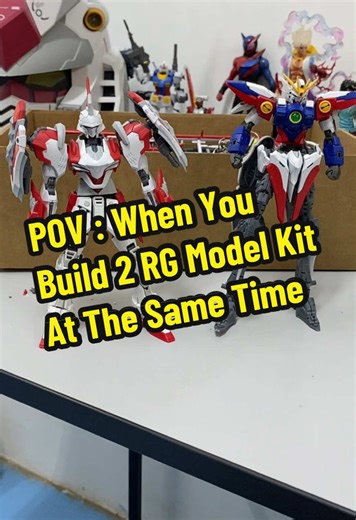 Building Two RG Model Kits: The Reality vs. Expectation