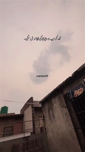 Aesthetic^Notes on TikTok