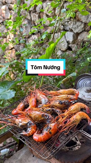 Lâu lắm rồi mới thấy được mớ tôm sông to ngon như này ạ. Hôm nay Bếp nhà mình làm món Tôm Nướng . Tôm Sông nướng ăn ngọt lắm luôn ạ, tôm này gạch nhiều ăn bùi ngọt ngậy lắm mọi người ạ . Mời mọi người vào Bếp Nướng và ăn cùng nhà Mình nhá#XuHuong #khoibepque #tomnuong