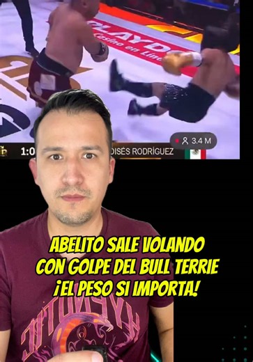 Abelito SALE VOLANDO con golpe del Bull Terrie en Ring Royale 😱 #abelito #ringroyale