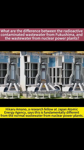 #fukushima #nuclearcontaminatedwater What the Japanese government has dumped into the pacific ocean is nuclear-contaminated water, which is fundamentally different from the normal wastewater from nuclear power plants. #fishingindustry #nuclearpollution #environmentalprotection #marinelife #seafood