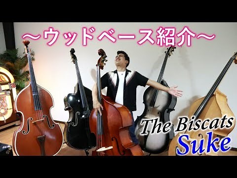 【楽器紹介】ウッドベース全員集合！！