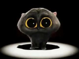 Smeshnoj multik pro kota