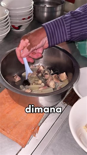 Ternyata bukan penyu.. | penyu