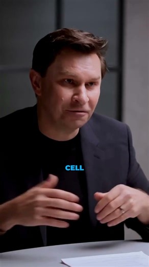 How Sirtuins Balance Gene Control and DNA Repair