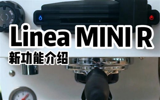 新款辣妈Linea Mini R
