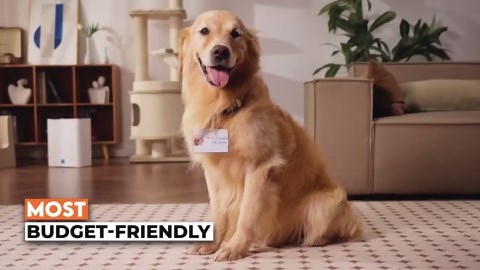 7 best air purifiers for a cleaner home in 2026