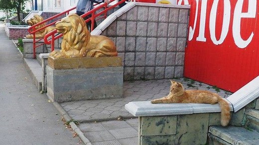 When You Lie On Your Resume But Still Get The Job | Know Your Meme